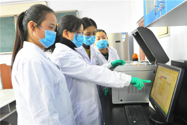 file0011.jpg file0011.jpg