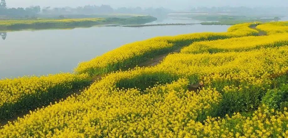 微信圖片_20221026101920.jpg 微信圖片_20221026101920.jpg